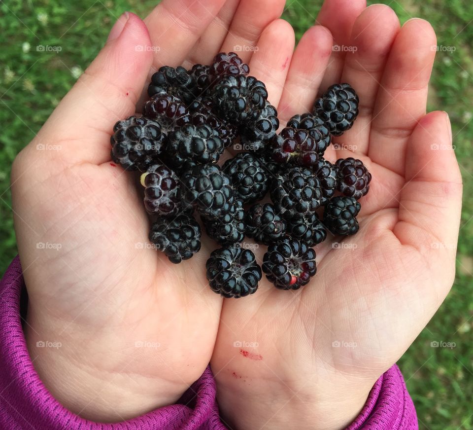 Handful of Berries