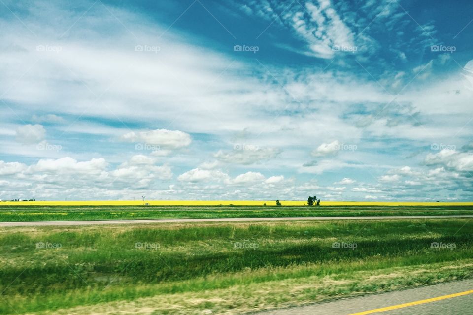 Prairie shot 📷