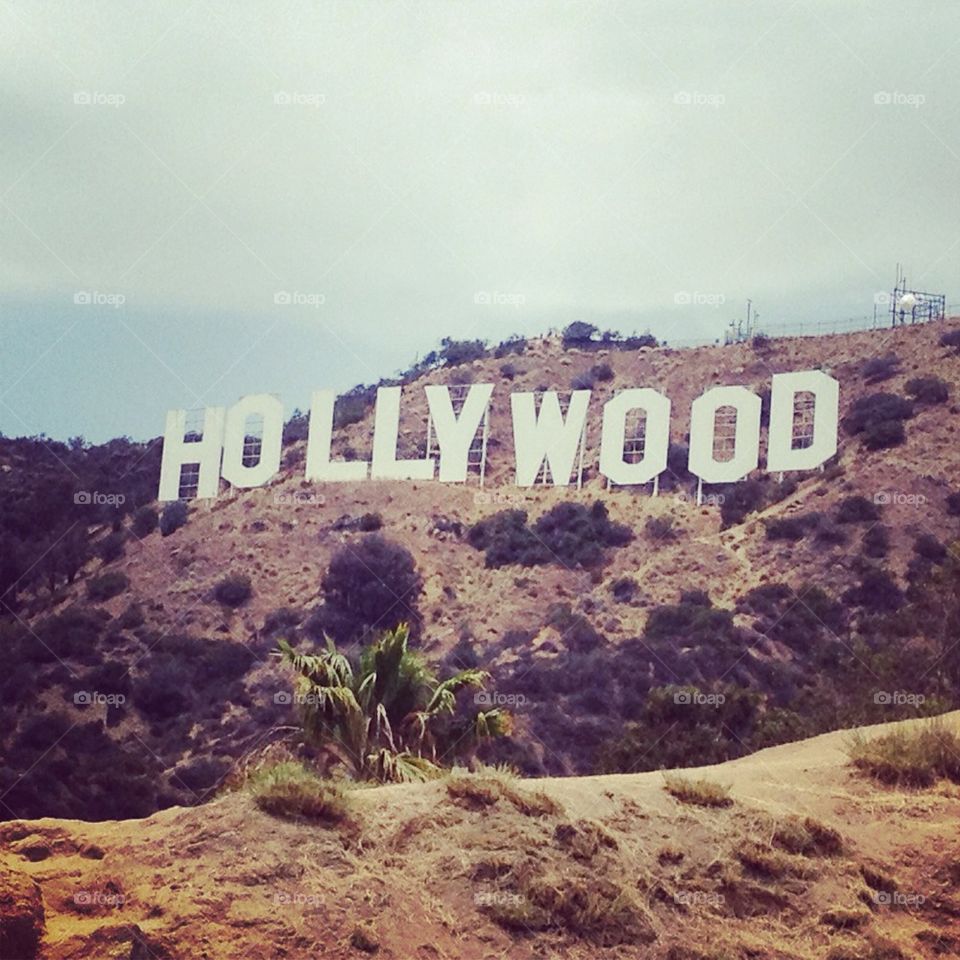 Hollywood sign, Cali, stars, iconic, wealth, mountains, wild, dreams