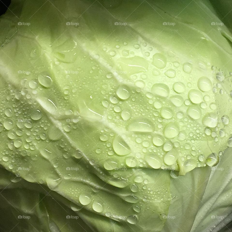 Texture of a fresh vegetable 