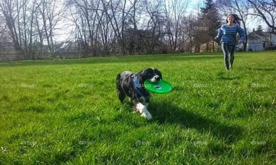 Enjoying frisbee with man's best friend!