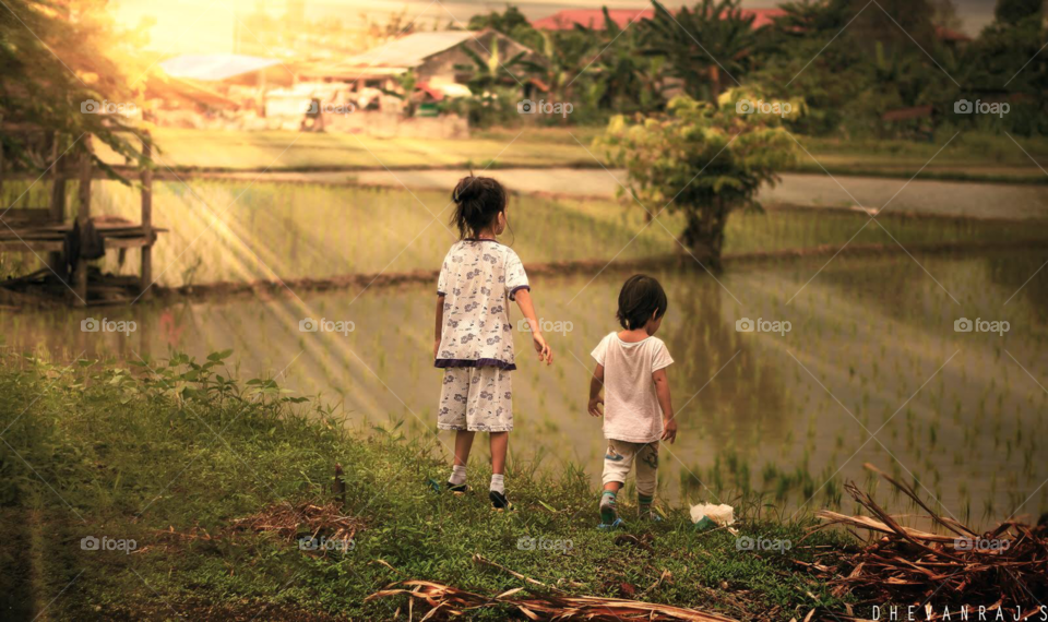 Kids playing in paddy field