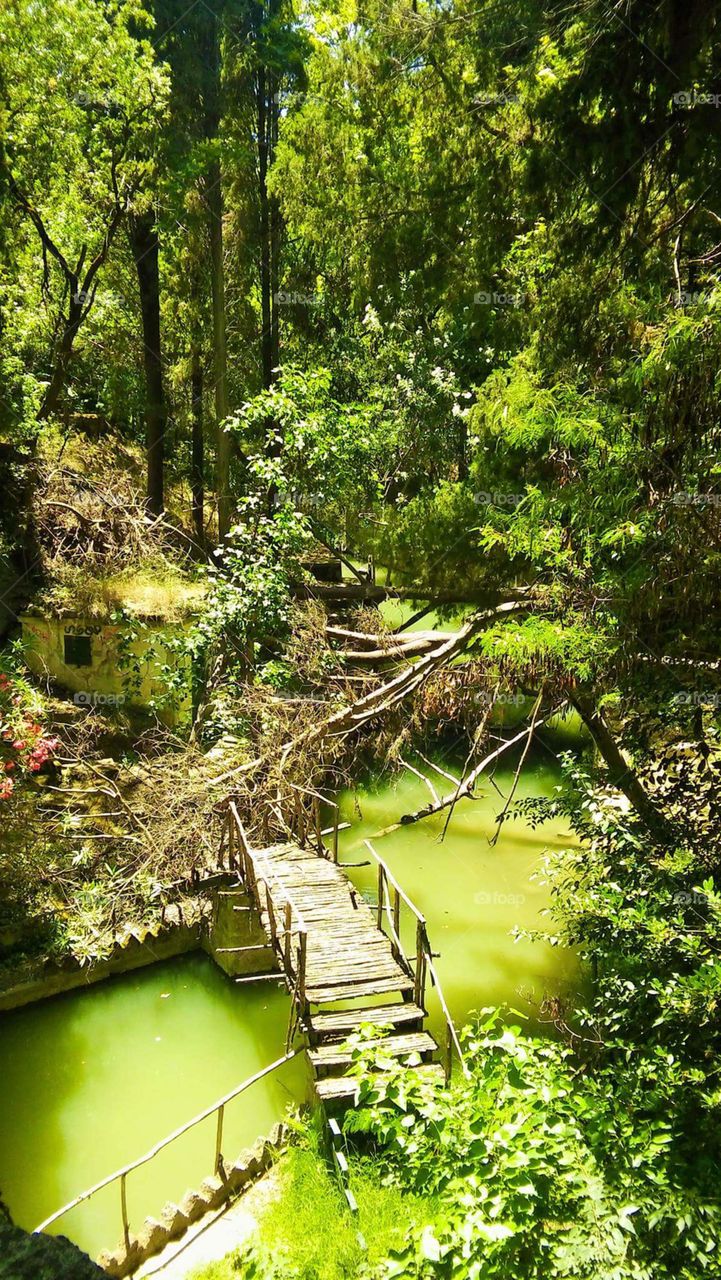 Park, Rhodes, Greece