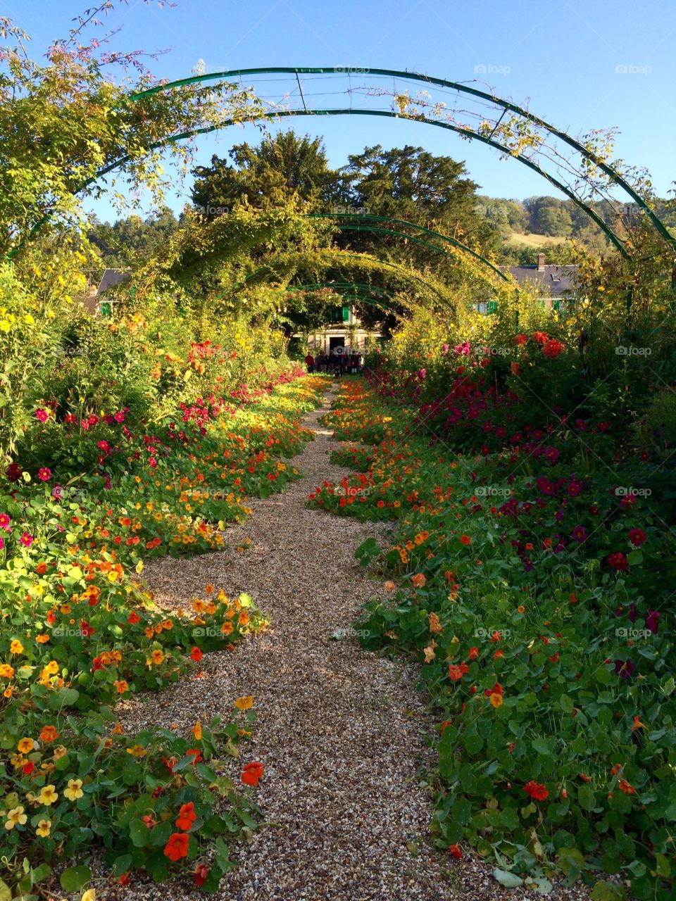 Monet Garden, Giverny