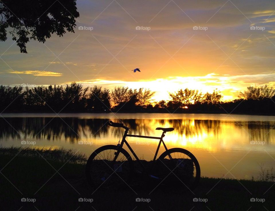 Sunset Bike Ride 