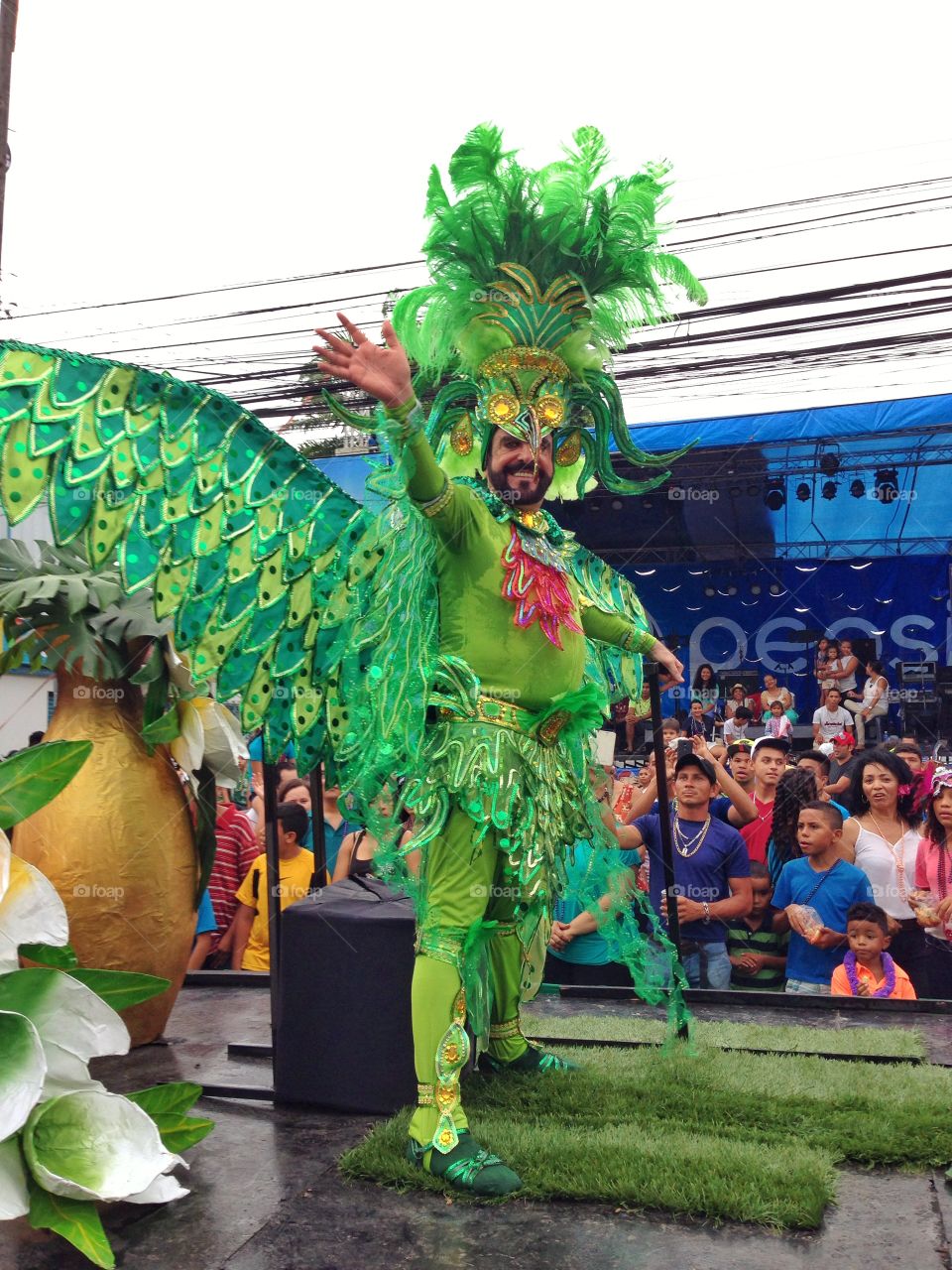 Carnaval de La Ceiba