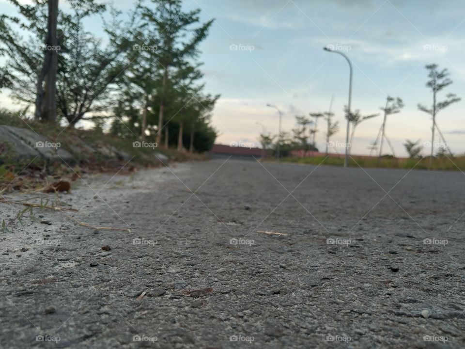 View of every evening walk lover.