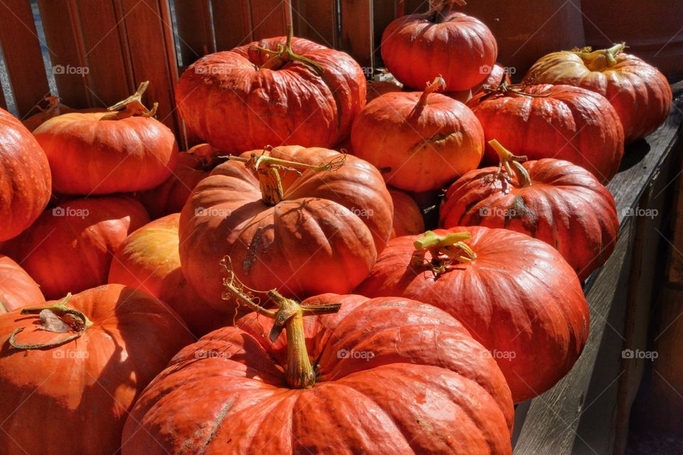 Colorful pumpkins