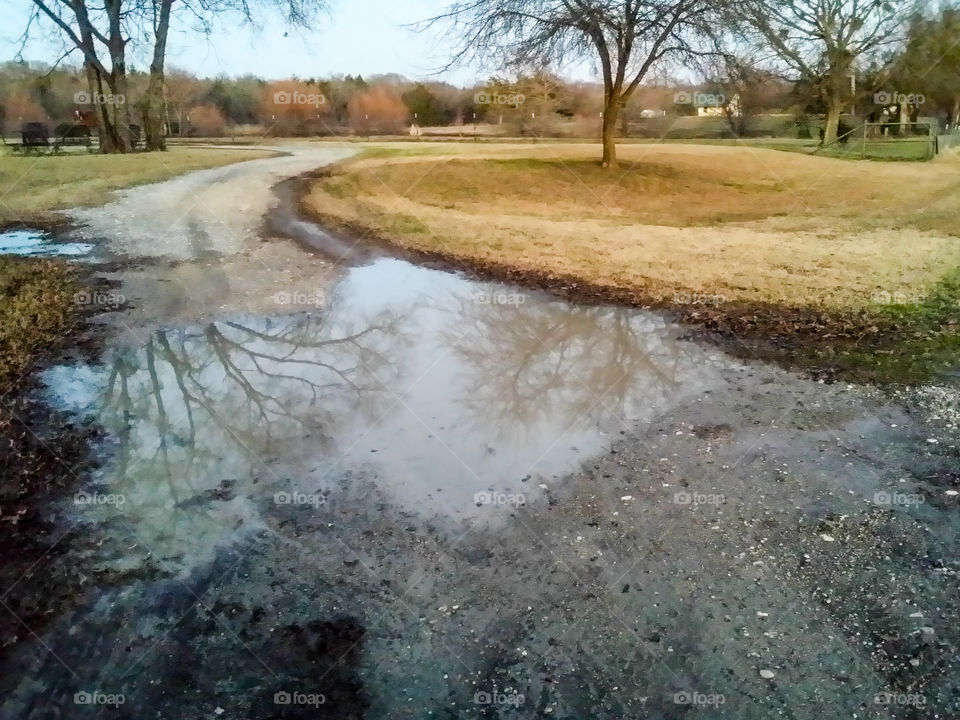 Road Reflections