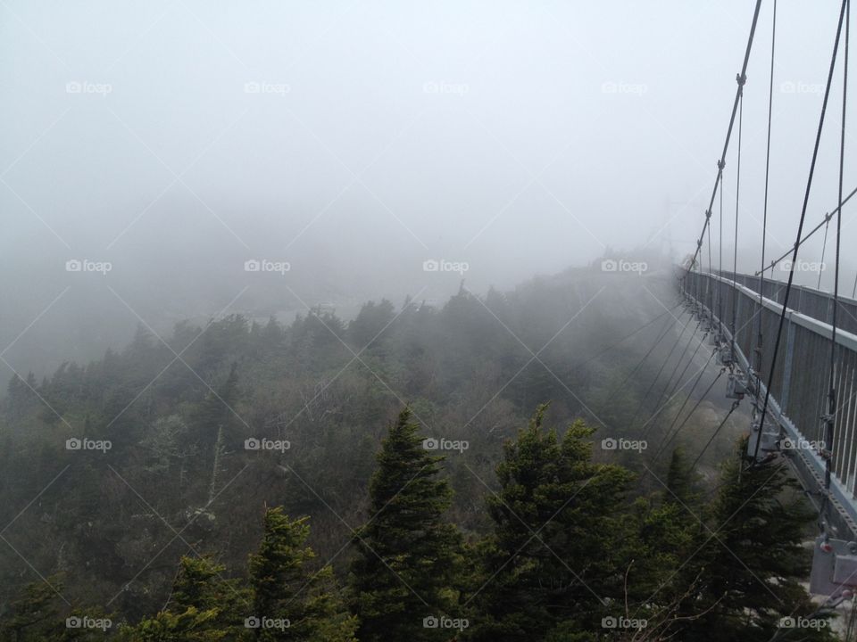 Fog, Landscape, Mist, Mountain, Tree