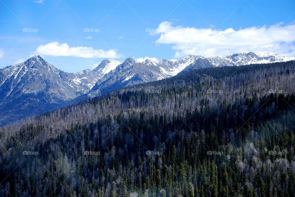 Mountains. North of Vallecito Lake near Durango, Colorado. Taken from a helicopter. 