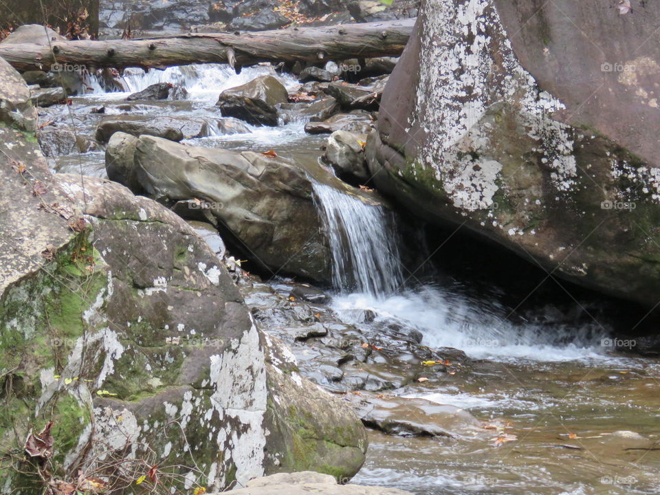 Cloudland canyon