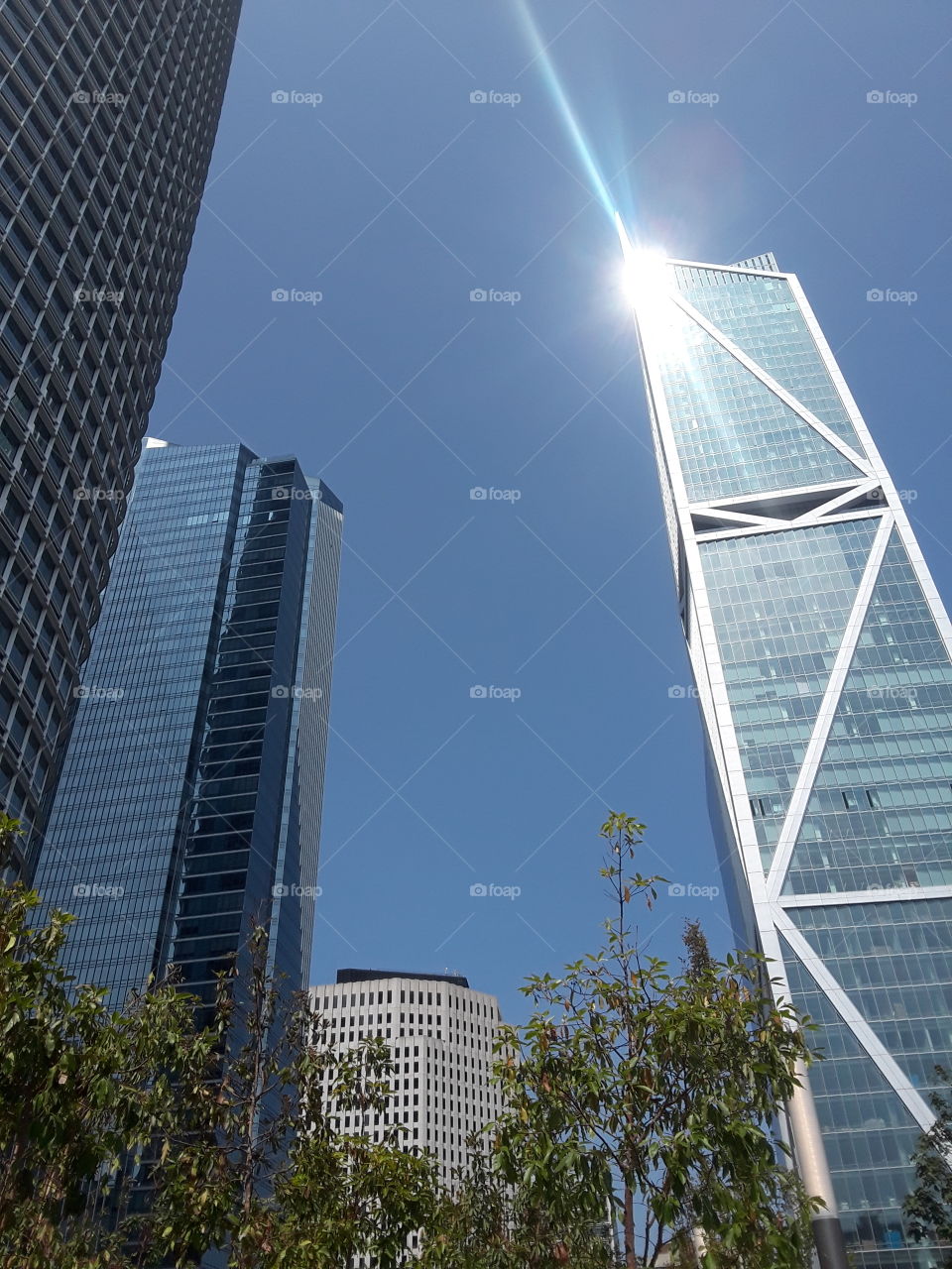 Salesforce Park San Francisco California