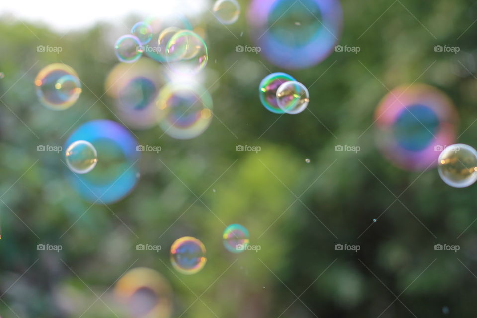 Bubble 