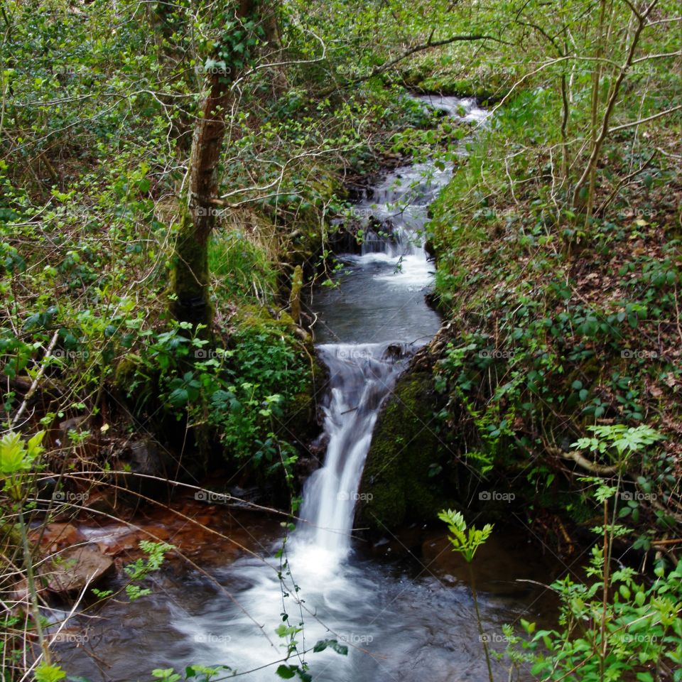 Dartmoor water