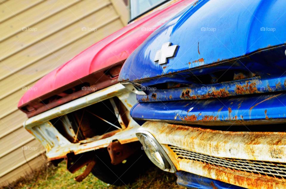 Take the Nostalgic Way Home (Series)