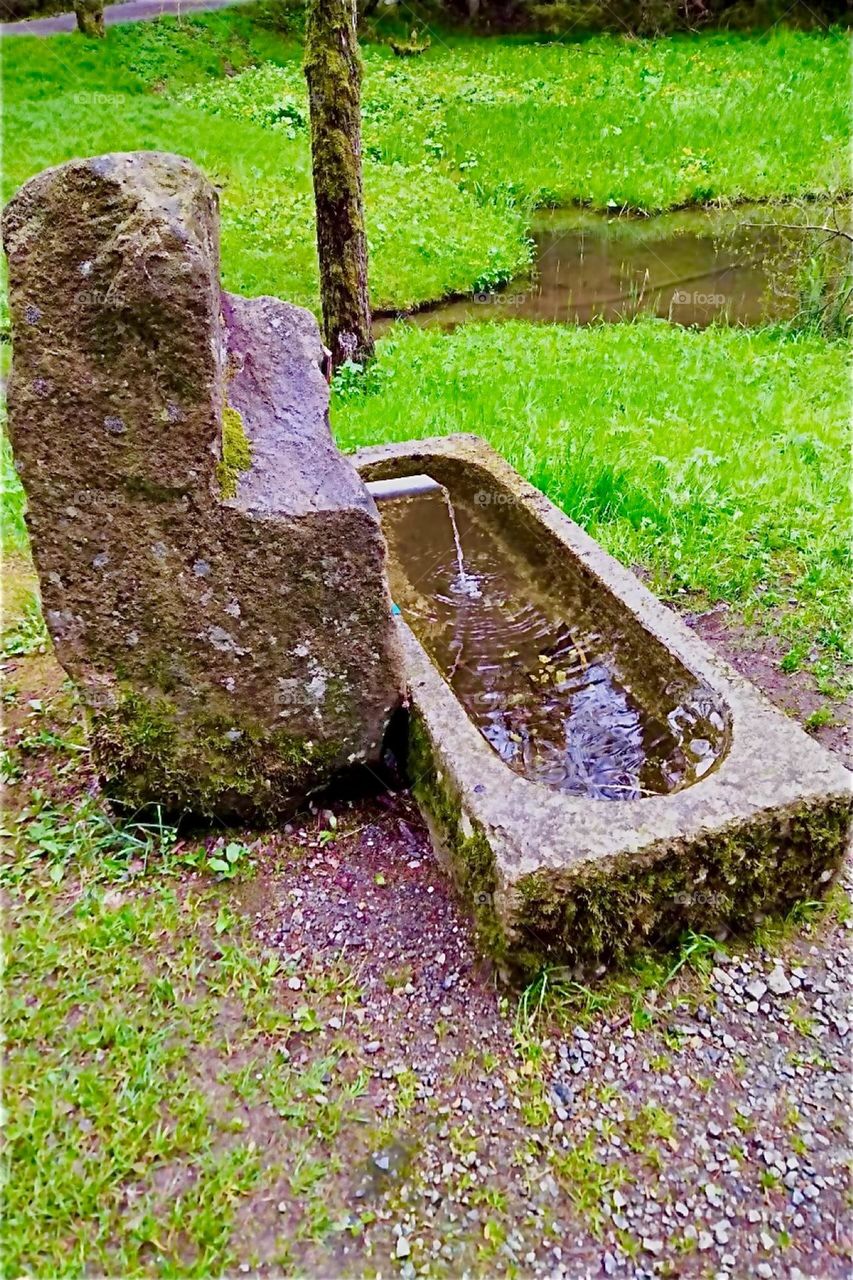 This is a freshwater spring from a rock in a clearing of the “Bayerischer Wald”, the “Bavarian Forest” near the township of “Eging” and the “Eging Lake”, the “Eginger See”. The water flows into a stone basin beneath. 2024. Hypnotic Productions