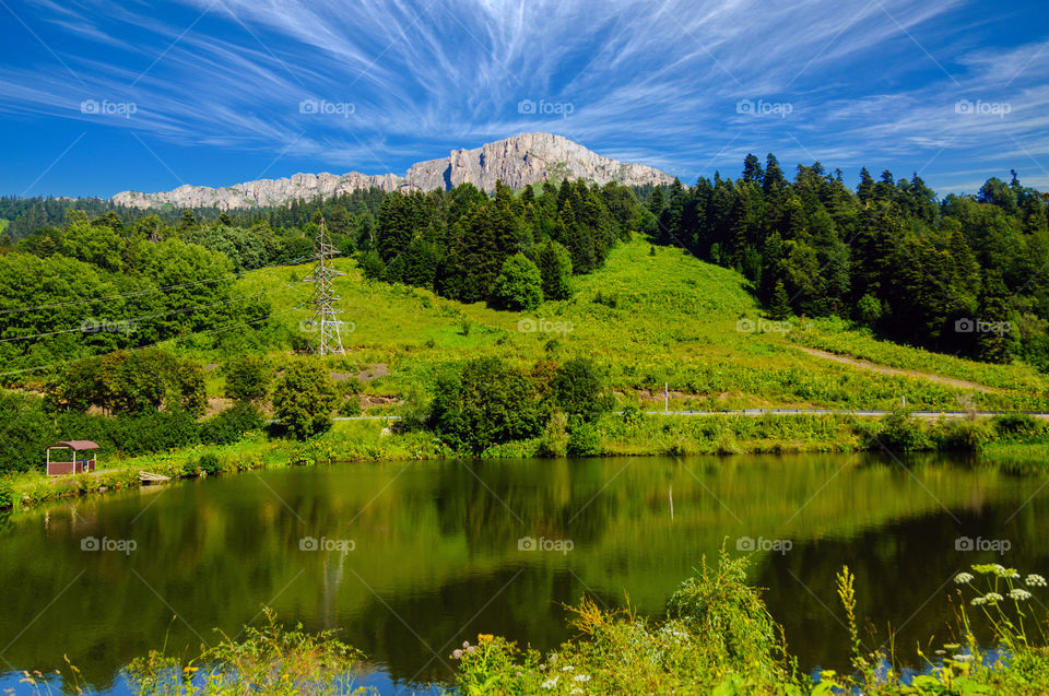 Green landscape