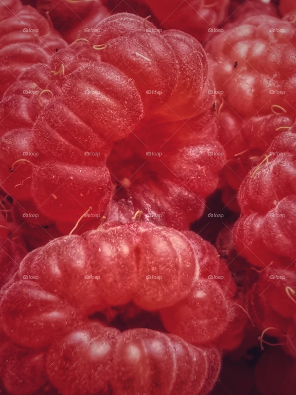 Raspberry nature eco vegan juicy view bio fresh yummy healthy Red ellipce round circle