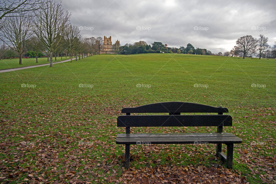 nottingham park wollaton by martyn.wright.180