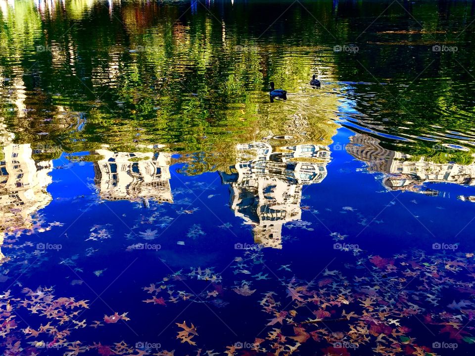 Reflection in the conservatory water - Central Park