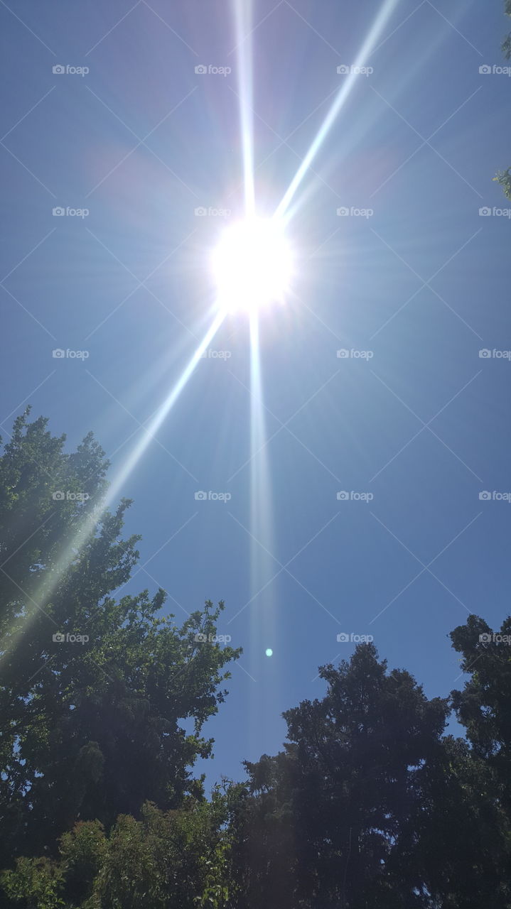 Beautiful Reflection