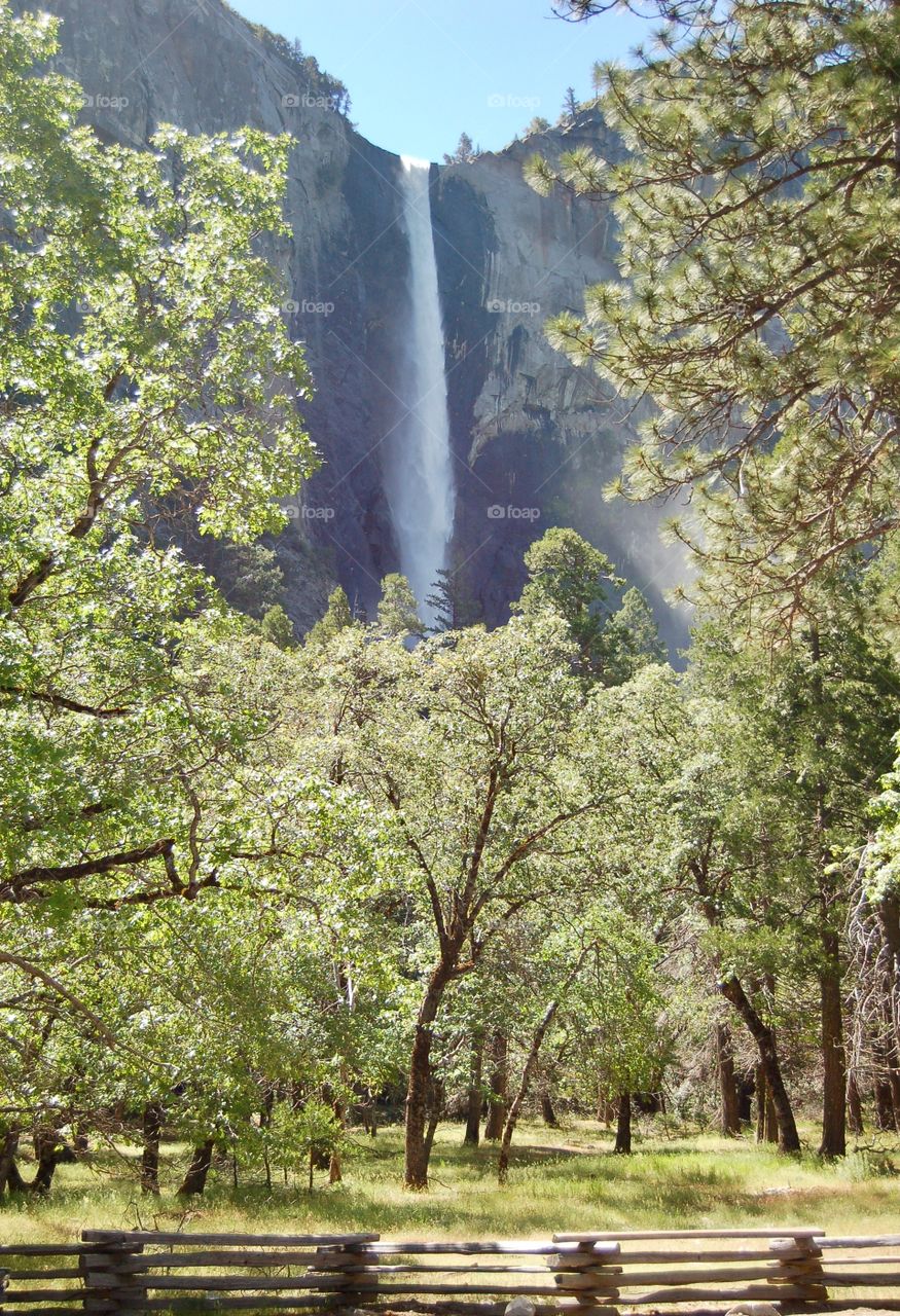 Springtime Waterfall