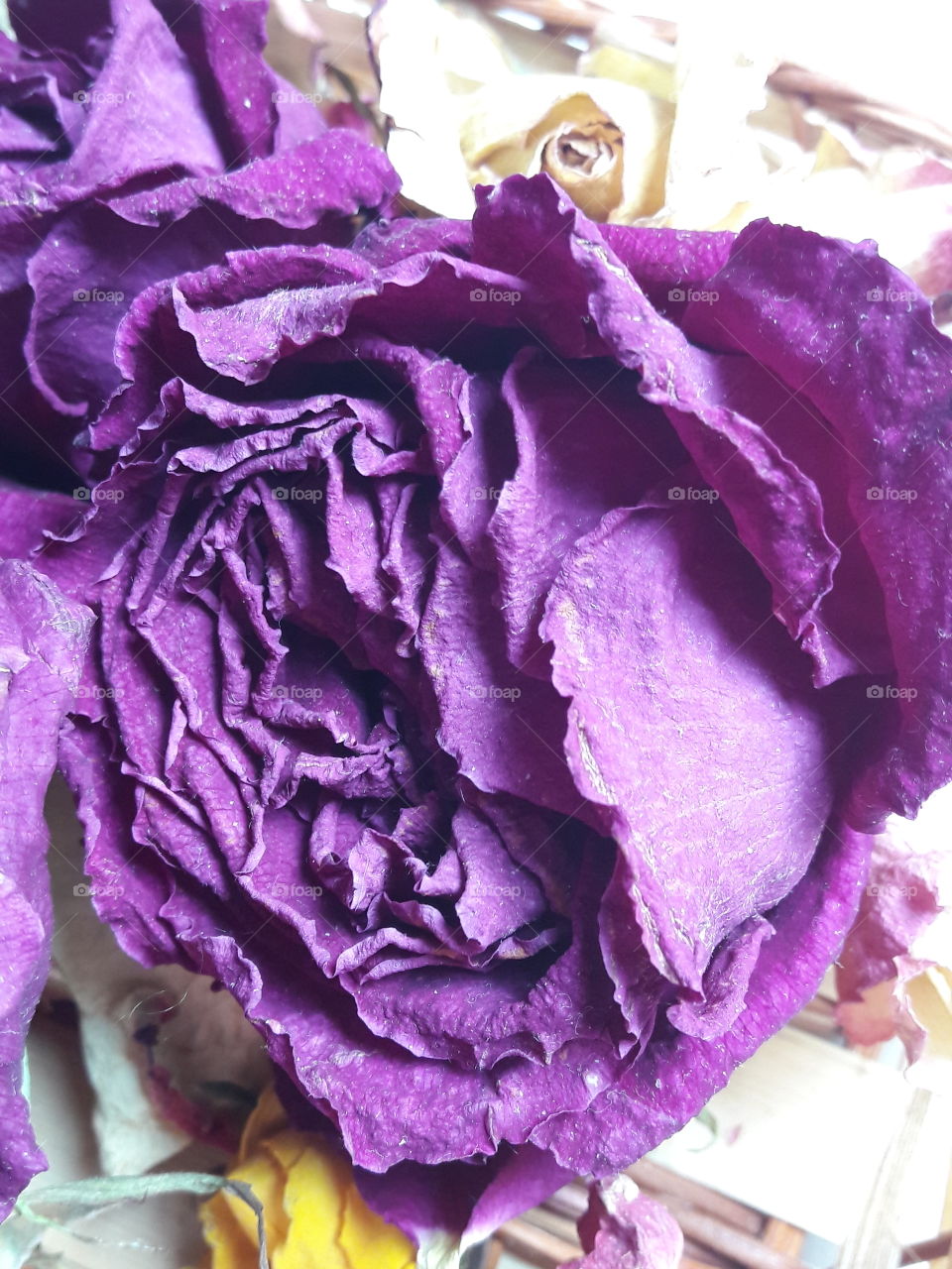 perfect imperfections