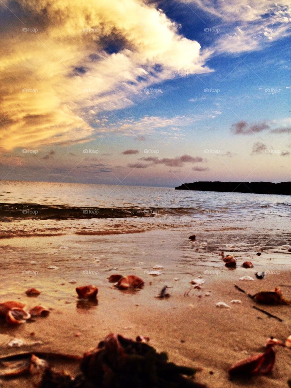 Beach View