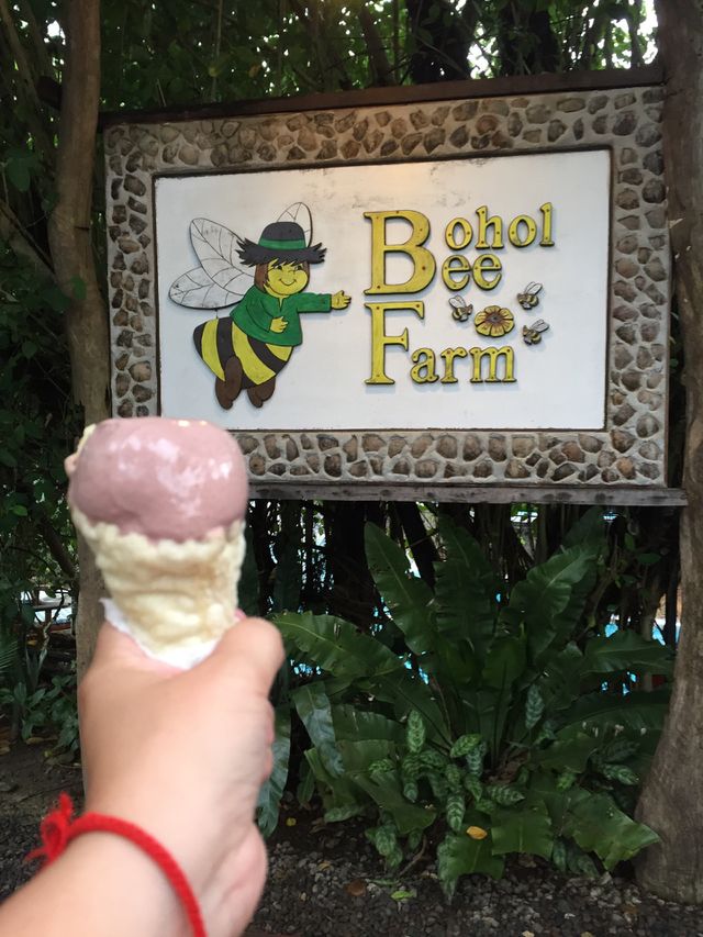 Ice cream 