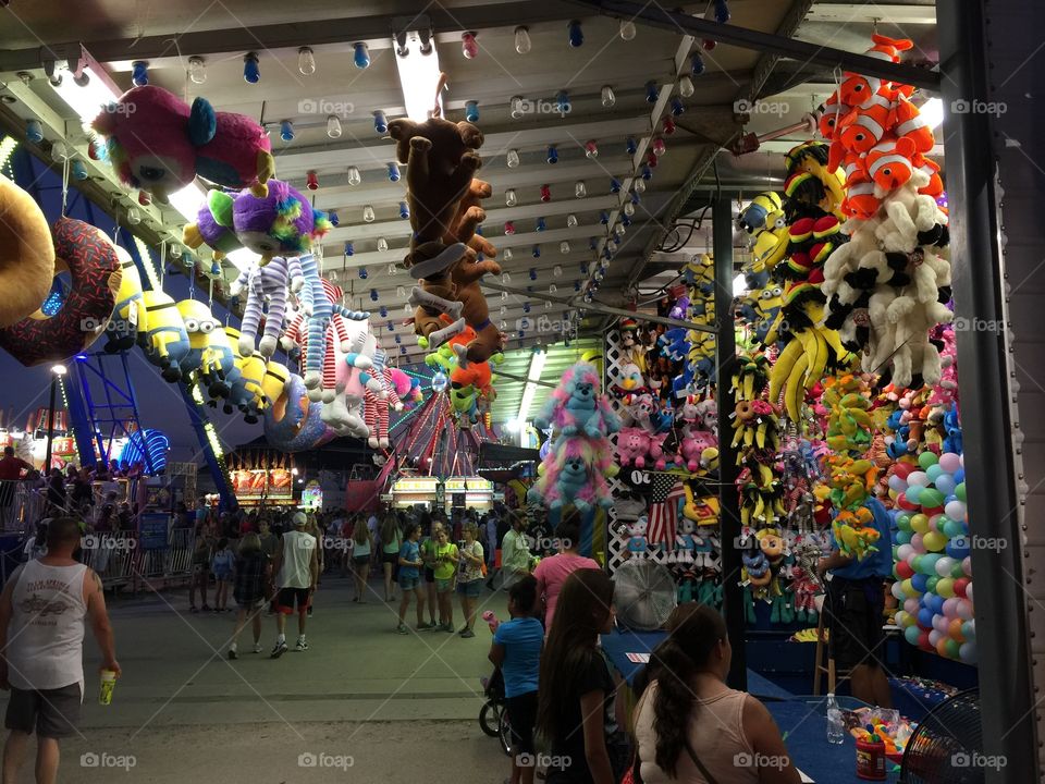 Illinois State Fair