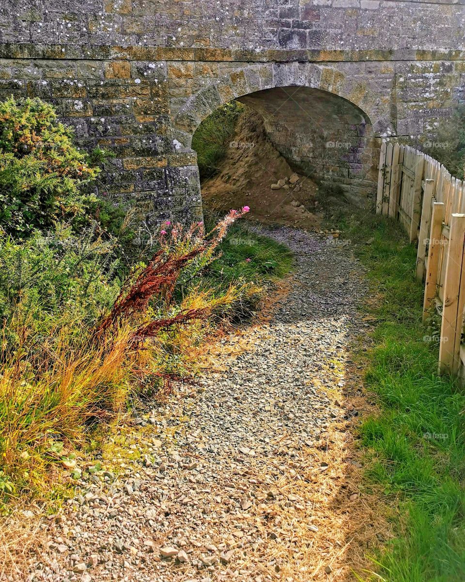 Under the old railbridge