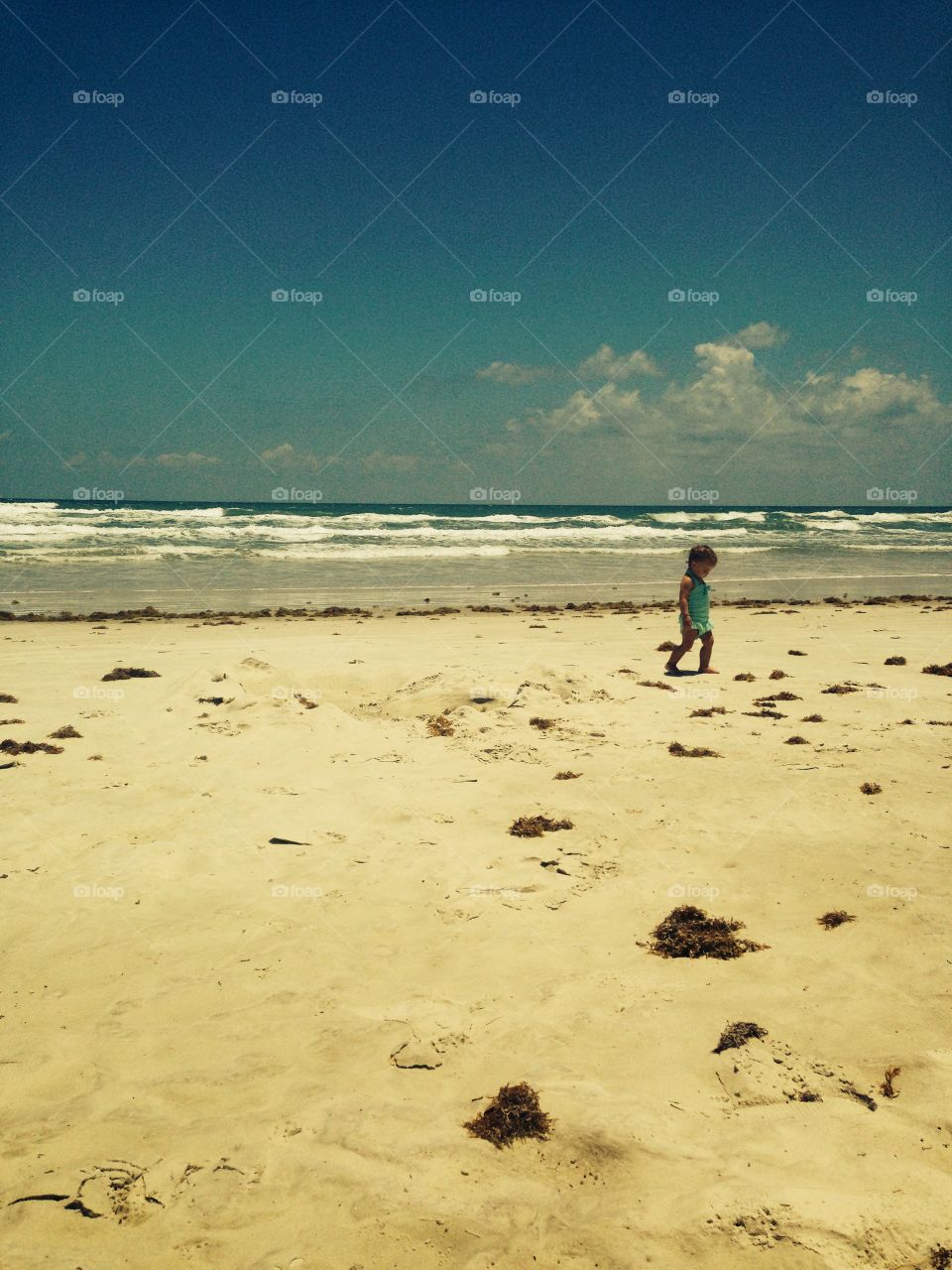 Lone Toddler on Seaweed Beach