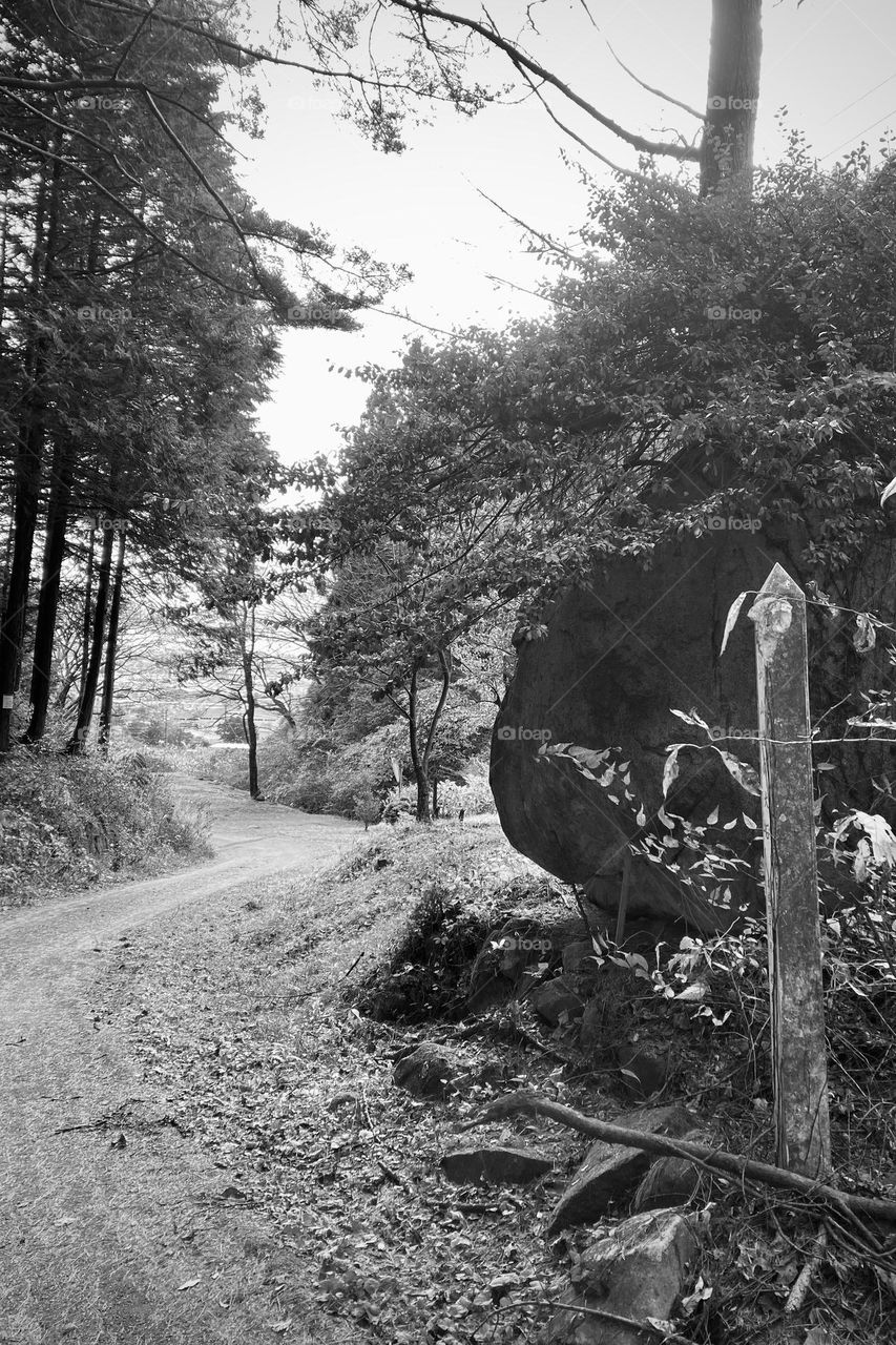 Hiking trail with milestone 