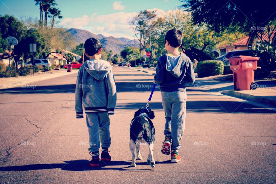 Brothers take their dog for a walk in the neighborhood on a sunny day