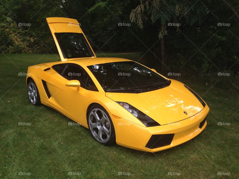 Lamborghini on the grass