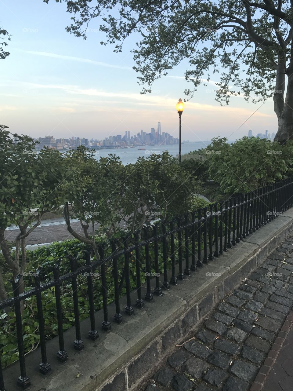 Tree, Travel, Landscape, No Person, Park