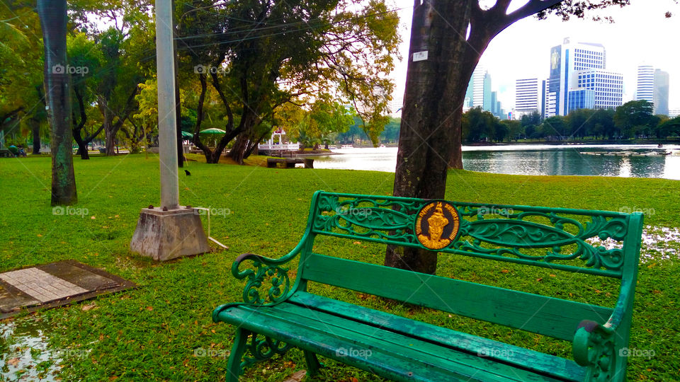 Lumphini Park- a place to relax and unwind. 