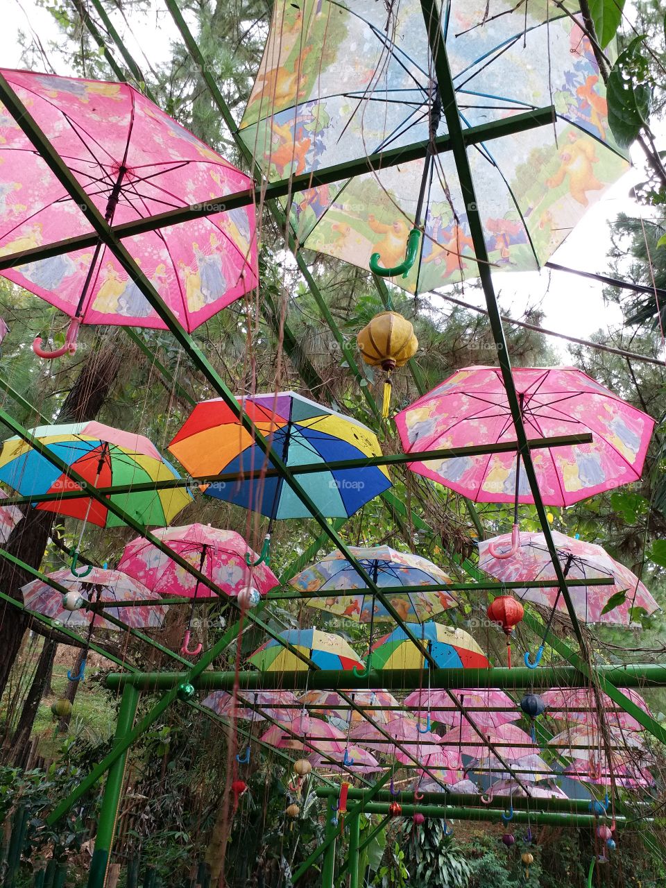 parasol shade, Phu Ninh Lake, Vietnam