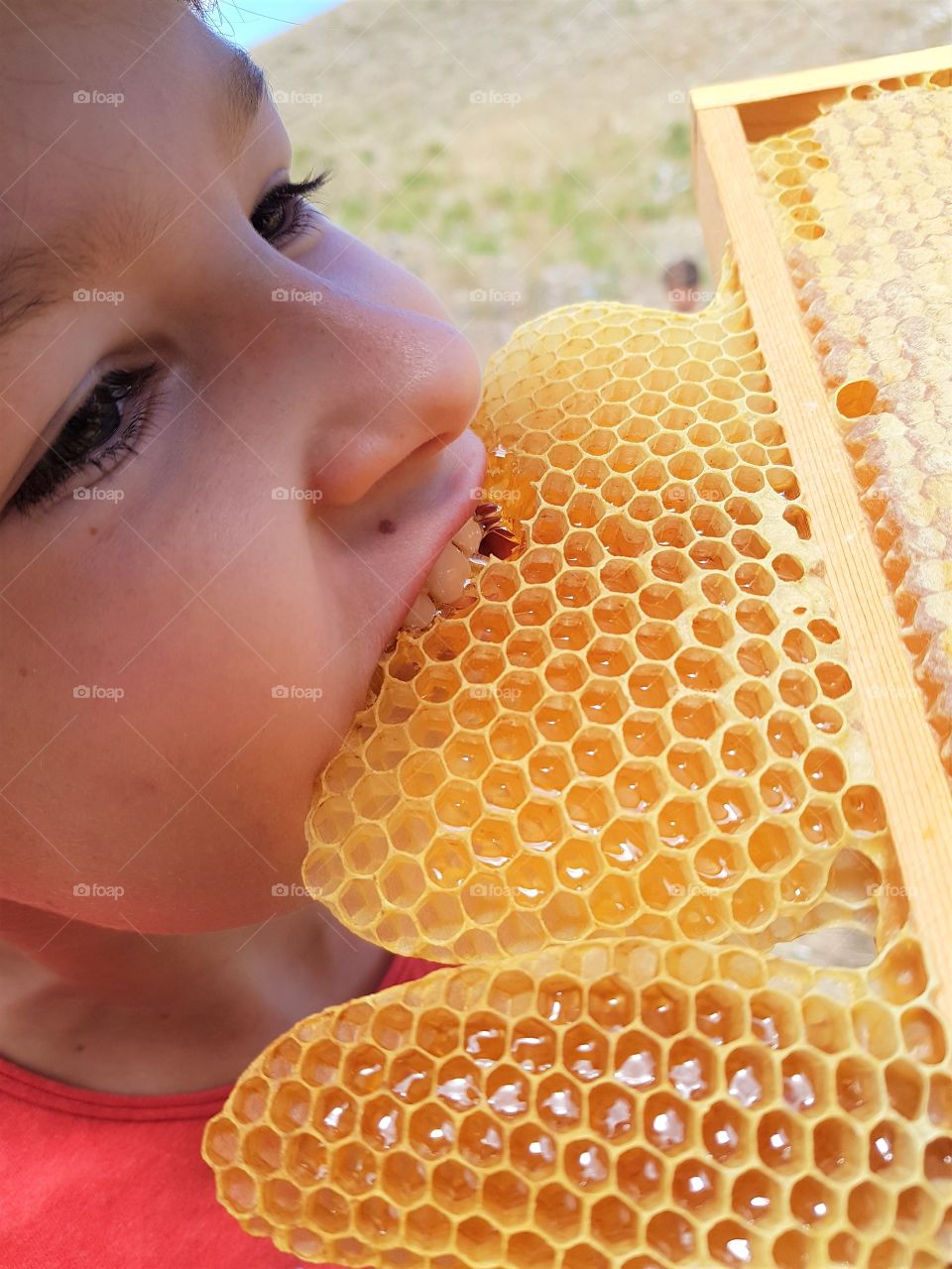 At grandad's bee-garden