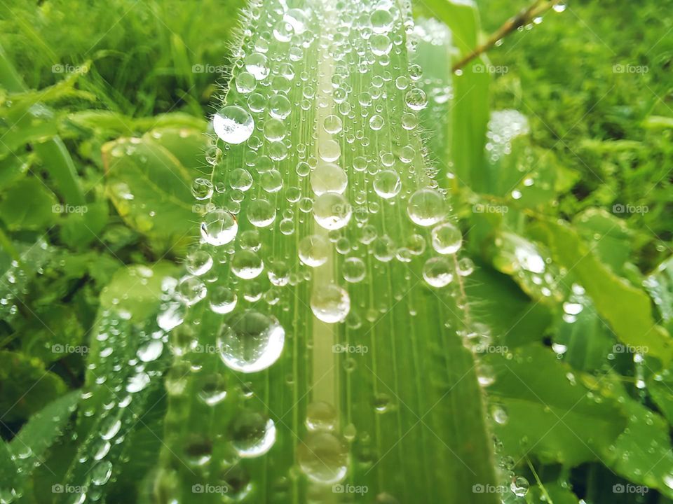 We should take every opportunity in life and absorb the best in it!!! ;) Only then will we have the strength to face future adversities!