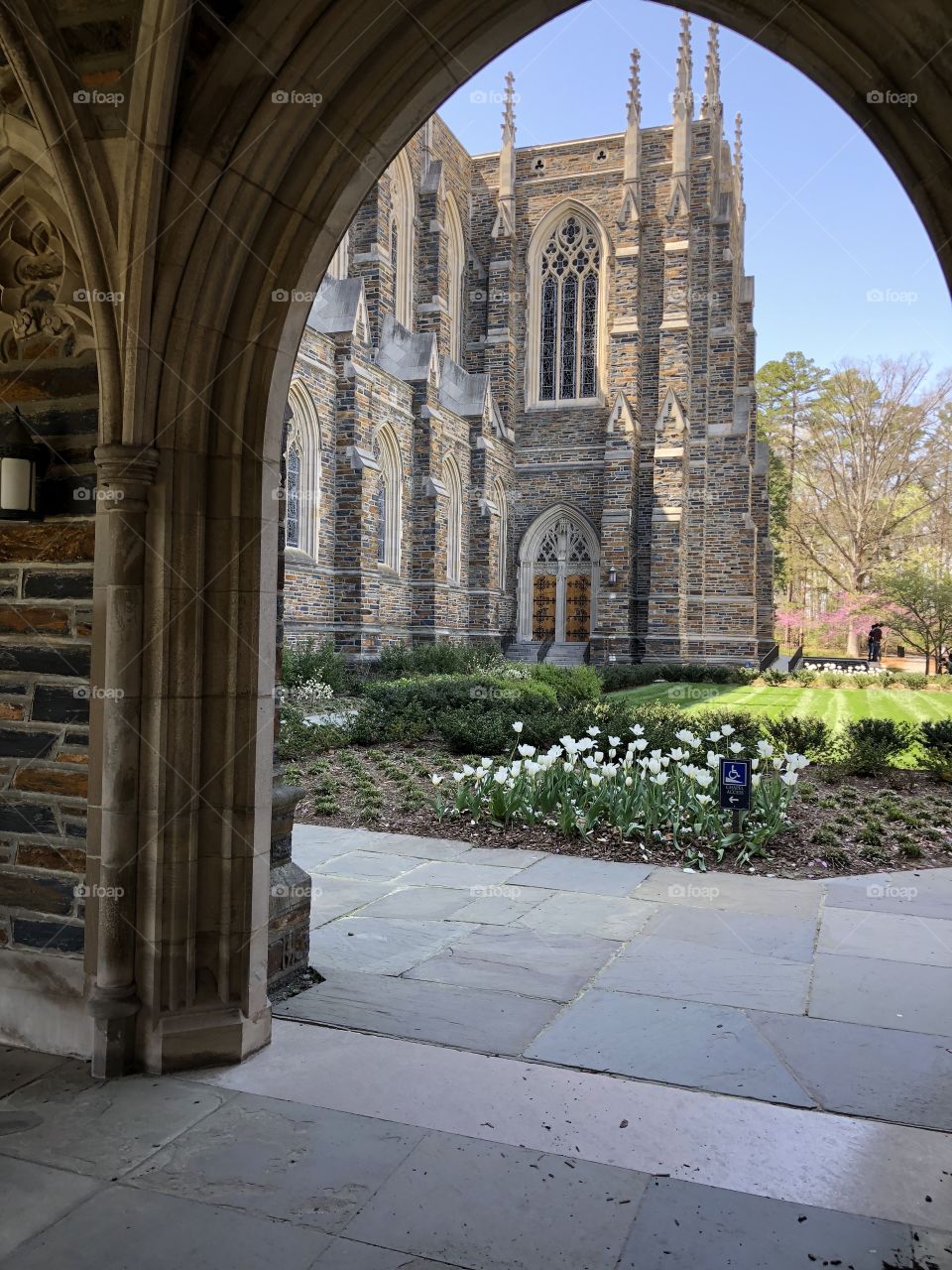 Duke University NC