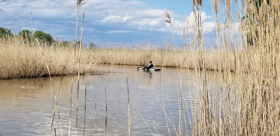 Kayaking in the marshlands