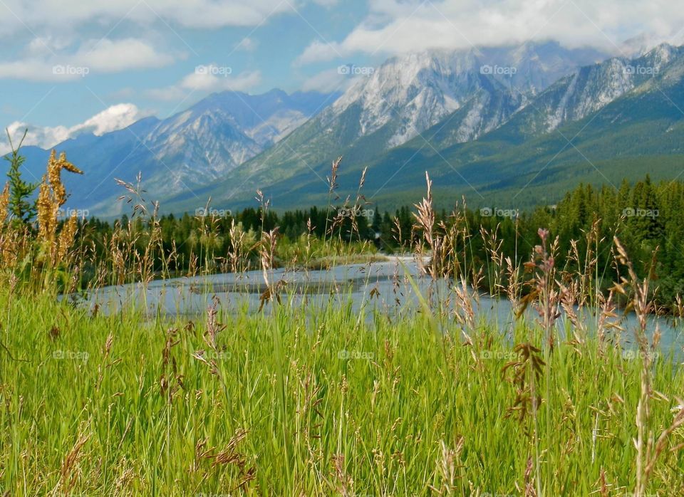 Looking out over the tall grass to the mountains of Canmore Alberta