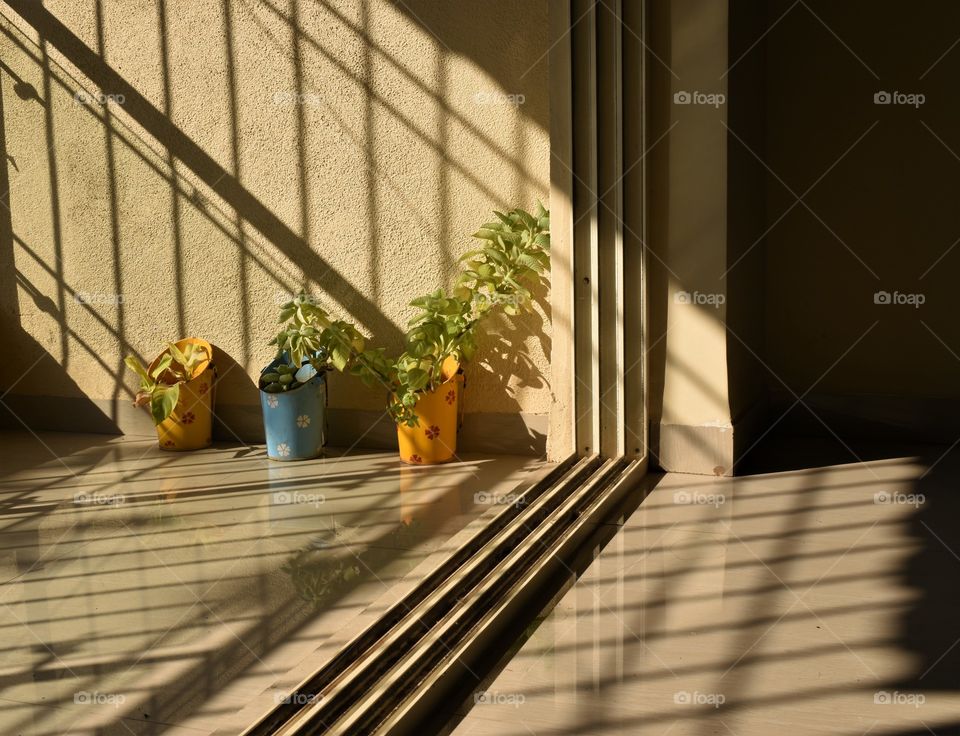 lines and shapes formed in the morning sunlight