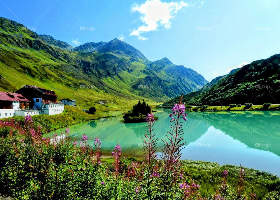 Bright green mountain lake with mountain reflections pink flowers in the foreground and mountains in the background