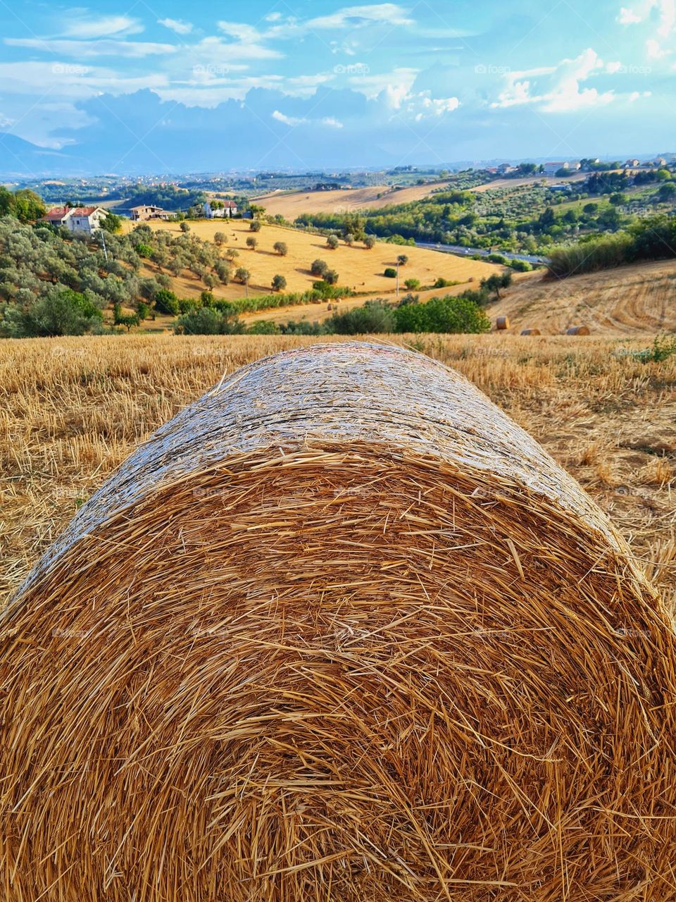 summer landscape with hay bale and harvested field