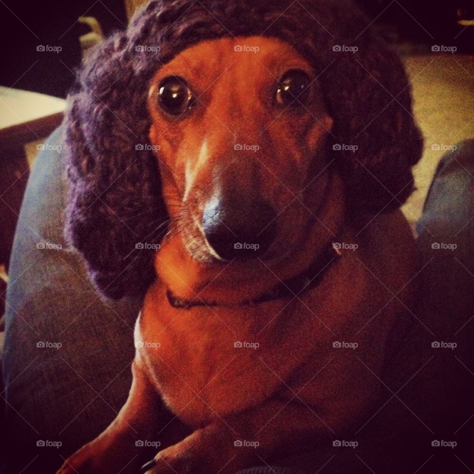 Her beautiful dark eyes just overflowing with love and affection. And a little bit of disdain for having to wear a hat 