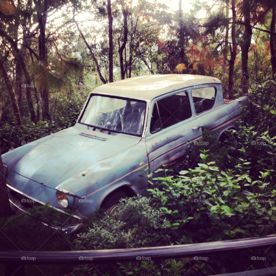 Harry Potter. Flying car Universal