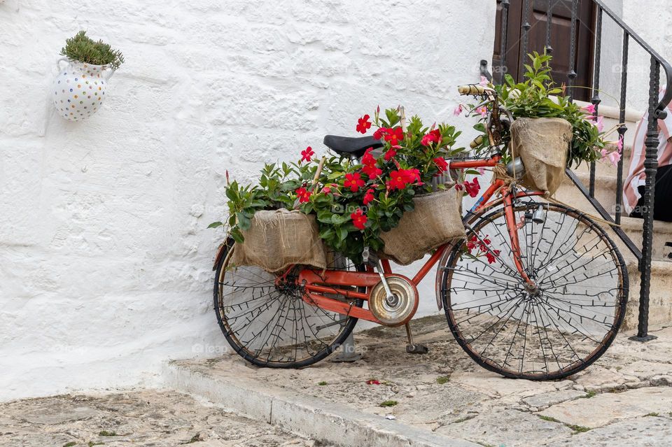 A beautiful view of one old red bicycle with red flowers in bagged pots and garlands on wheels stands against a wall with a staircase of a white house in the city of Ostuni, Italy, close-up side view.